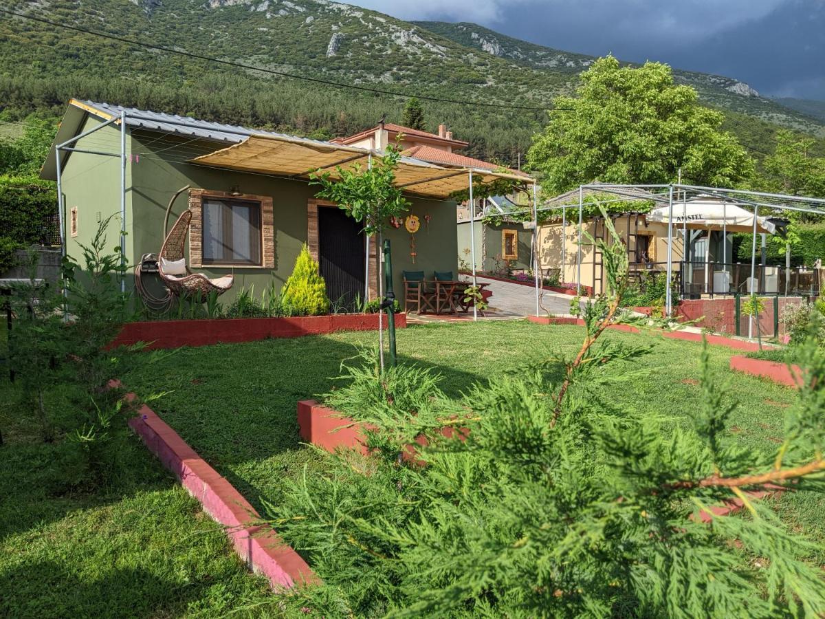 Valena'S House Apartment Ioannina Exterior foto
