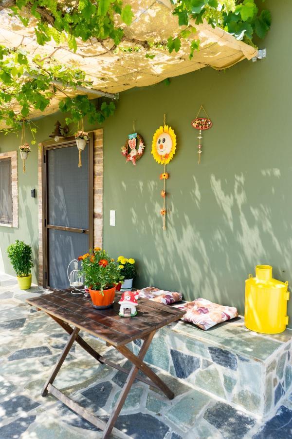 Valena'S House Apartment Ioannina Exterior foto