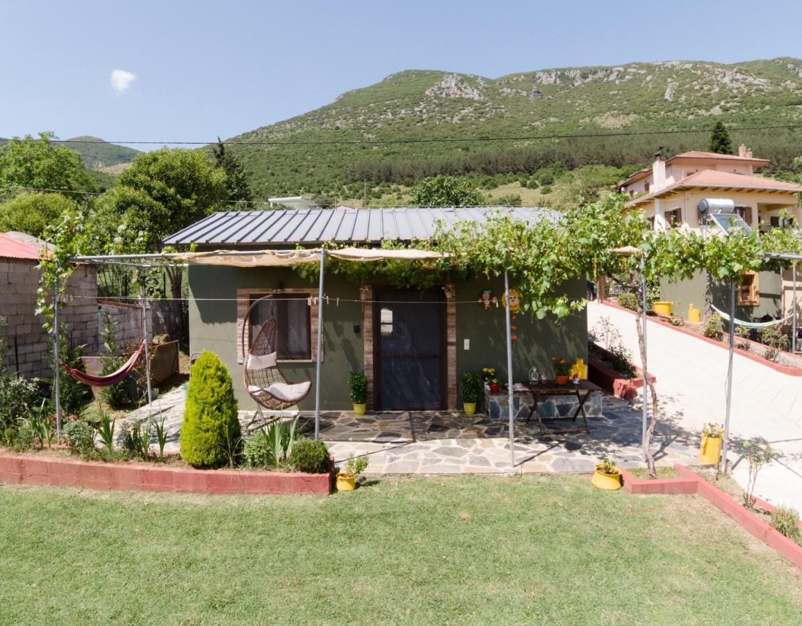 Valena'S House Apartment Ioannina Exterior foto