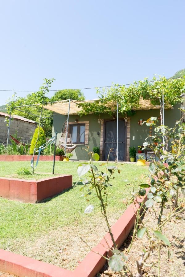 Valena'S House Apartment Ioannina Exterior foto